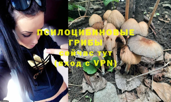 гашишное масло Кукмор